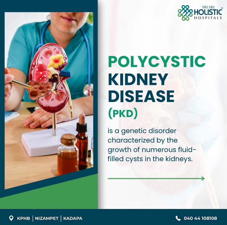 holistic kidney disease 2