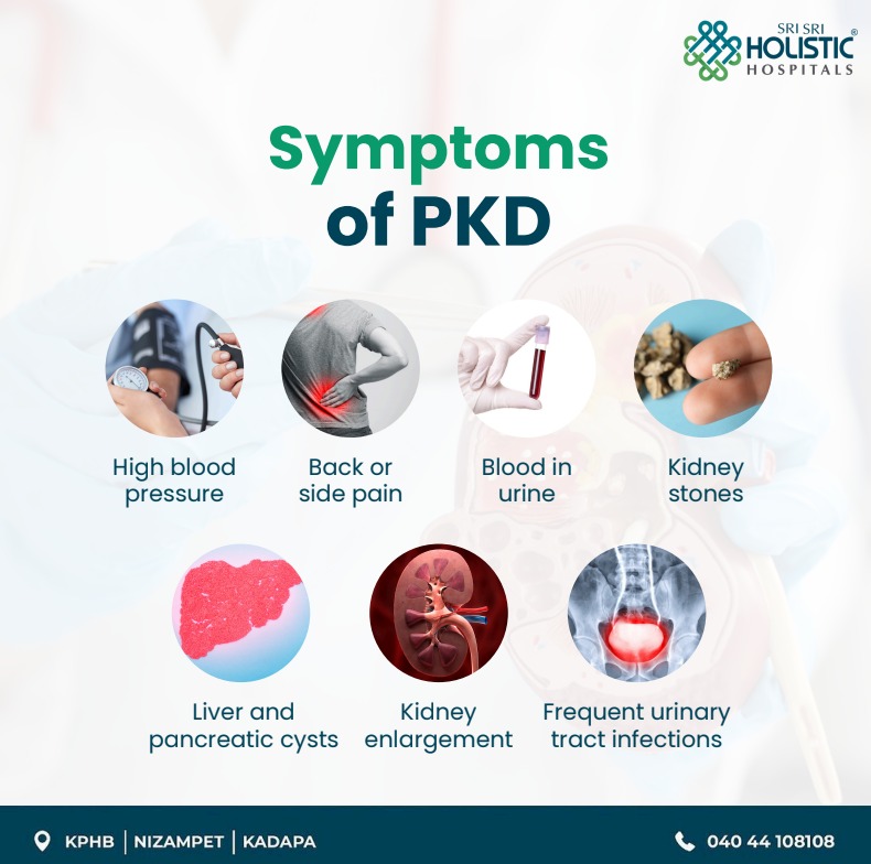 holistic kidney disease 3